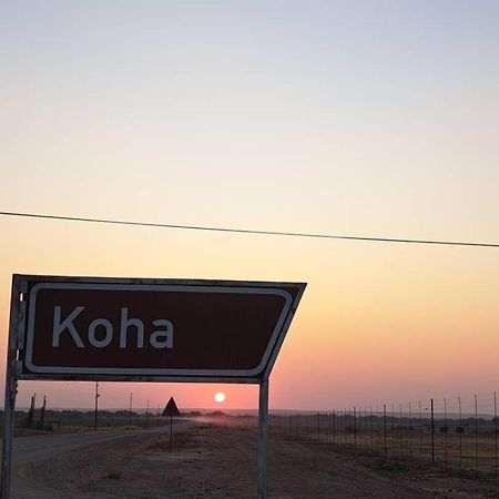Koha Guesthouse Mariental Exteriér fotografie