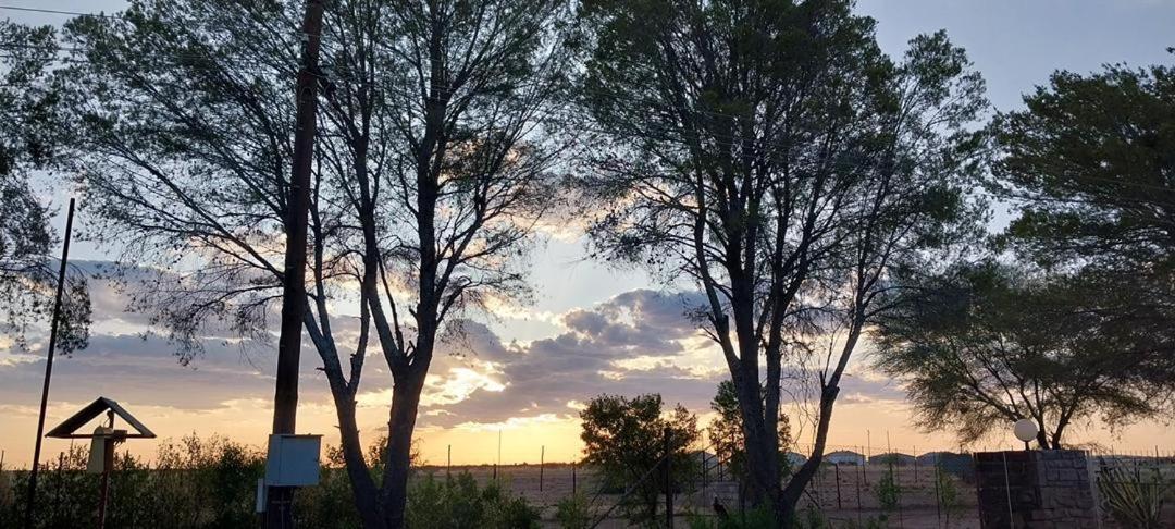 Koha Guesthouse Mariental Exteriér fotografie