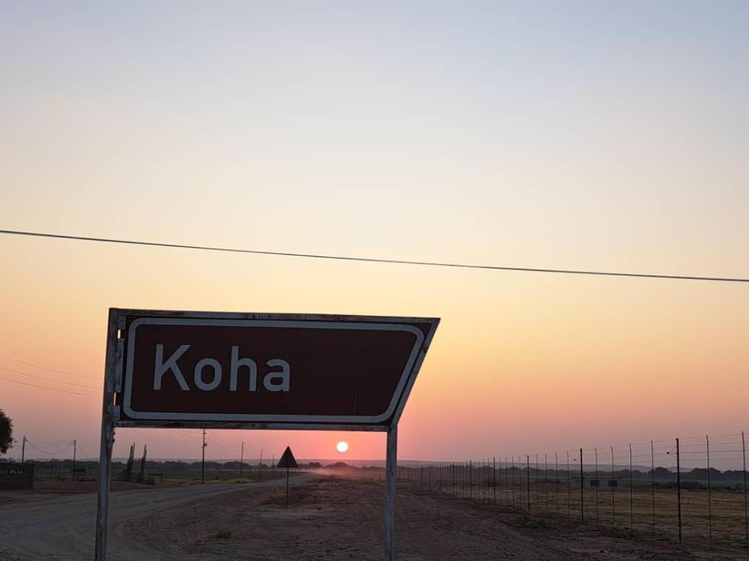 Koha Guesthouse Mariental Exteriér fotografie