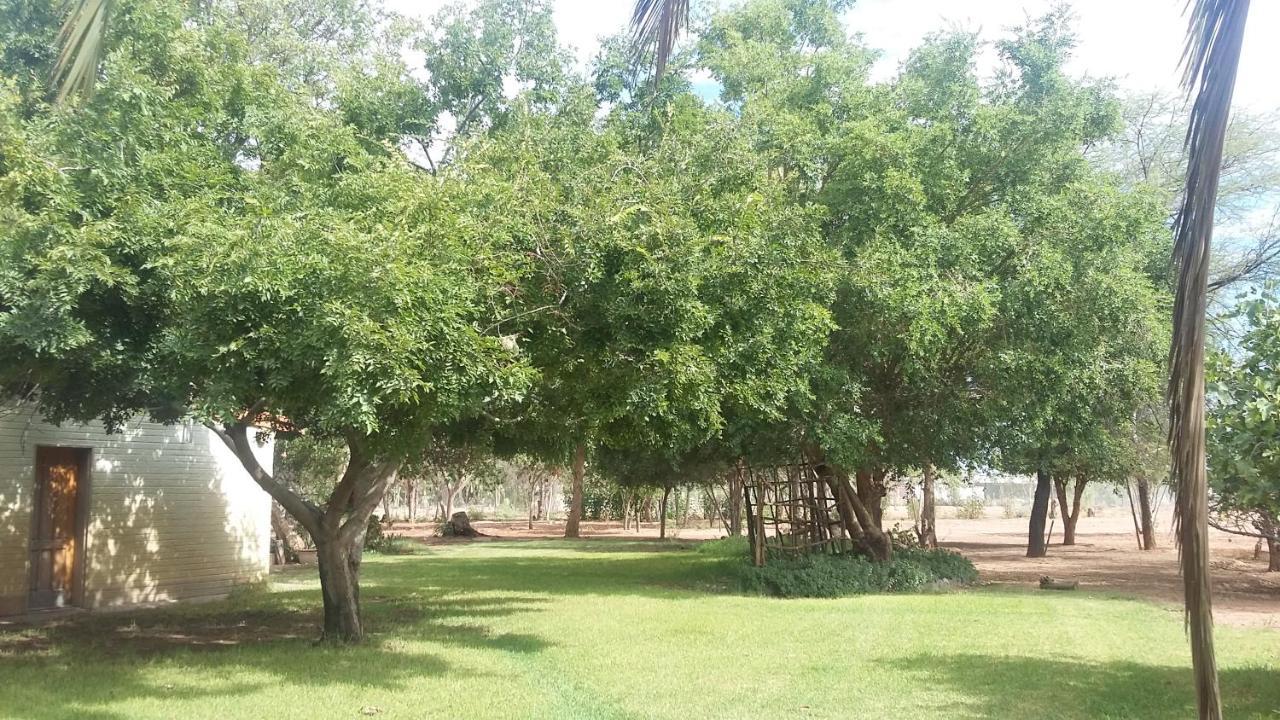 Koha Guesthouse Mariental Exteriér fotografie